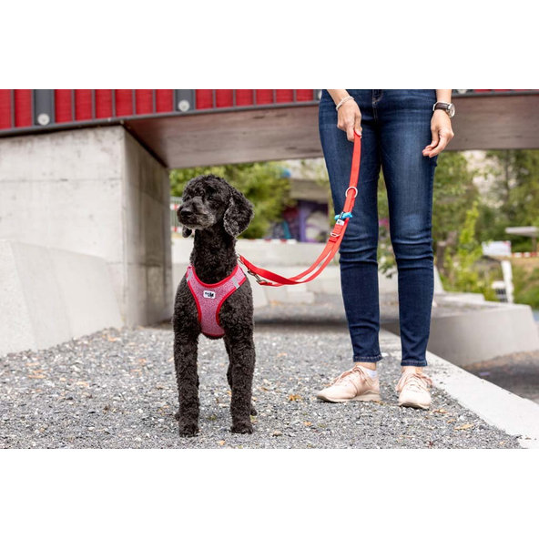 CURLI Nastaviteľné vodítko pre psov Nylon Red L 200x2 cm