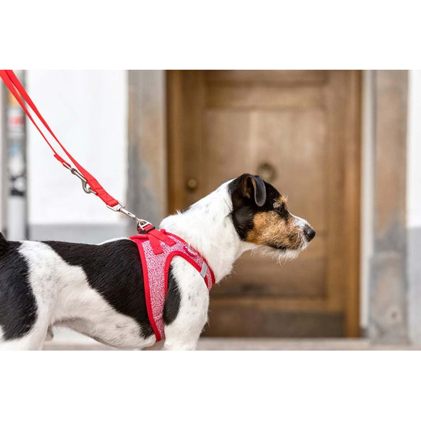 CURLI Nastaviteľné vodítko pre psov Nylon Red L 200x2 cm