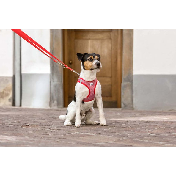 CURLI Nastaviteľné vodítko pre psov Nylon Red M 200x1,5 cm