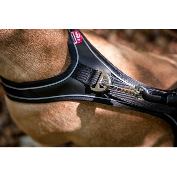 CURLI Postroj pre psov Belka Comfort Black L, 25-33 kg