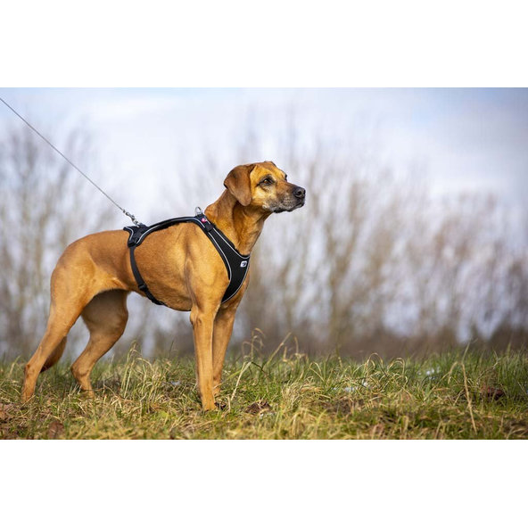 CURLI Postroj pre psov Belka Comfort Black M, 20-30 kg