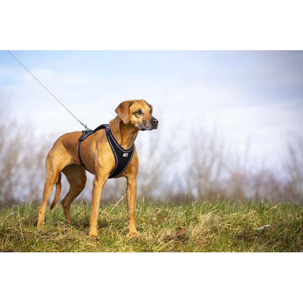 CURLI Postroj pre psov Belka Comfort Black M, 20-30 kg