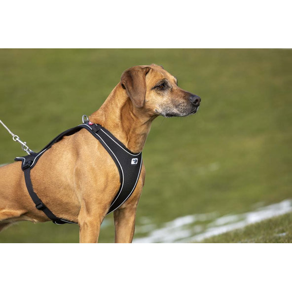 CURLI Postroj pre psov Belka Comfort Black M, 20-30 kg