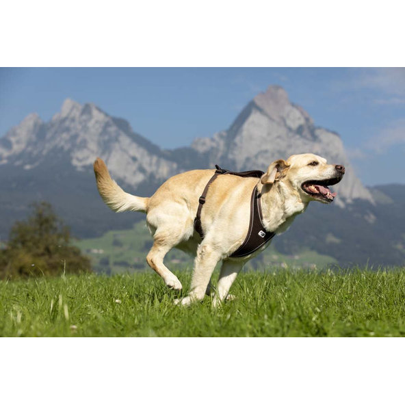 CURLI Postroj pre psov Belka Comfort Black S, 18-25 kg