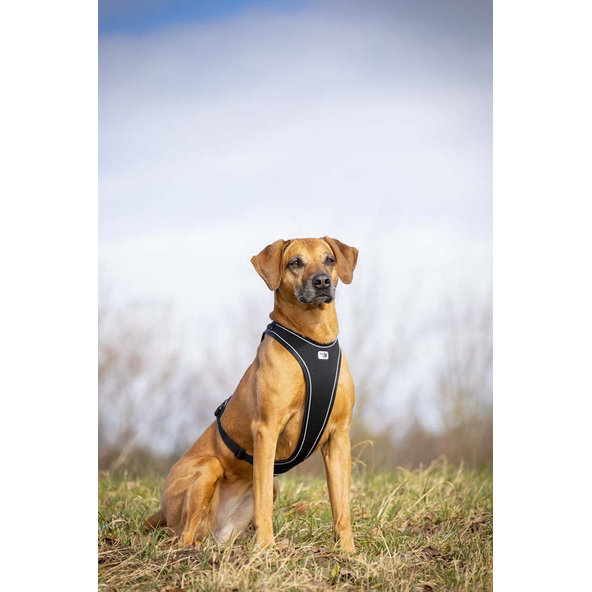 CURLI Postroj pre psov Belka Comfort Black S, 18-25 kg