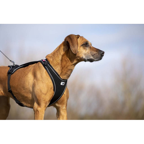 CURLI Postroj pre psov Belka Comfort Black S, 18-25 kg