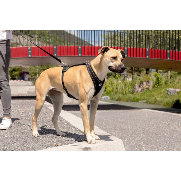 CURLI Postroj pre psov Belka Comfort Black XS, 15-20 kg