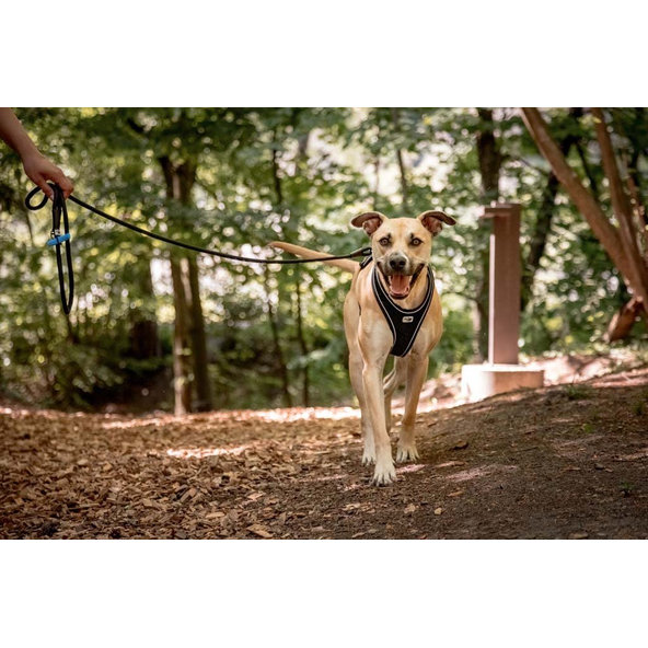 CURLI Postroj pre psov Belka Comfort Black XS, 15-20 kg