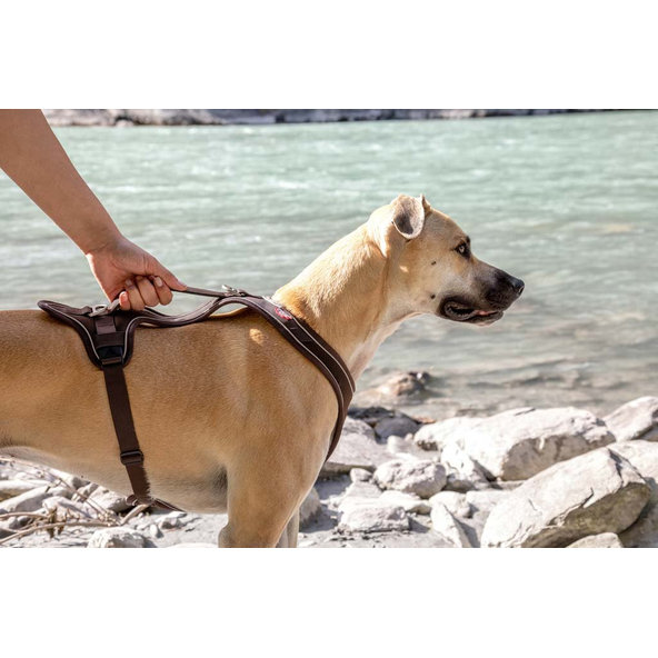 CURLI Postroj pre psov Belka Comfort Brown L, 25-33 kg