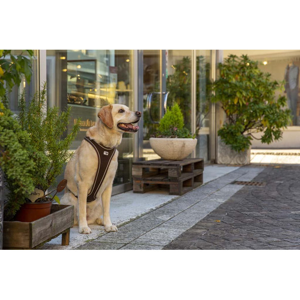 CURLI Postroj pre psov Belka Comfort Brown M, 20-30 kg