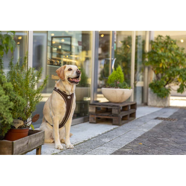 CURLI Postroj pre psov Belka Comfort Brown M, 20-30 kg