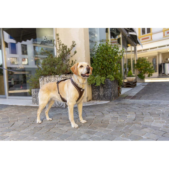 CURLI Postroj pre psov Belka Comfort Brown M, 20-30 kg