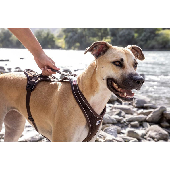 CURLI Postroj pre psov Belka Comfort Brown S, 18-25 kg