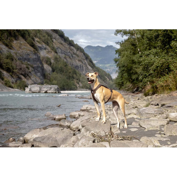 CURLI Postroj pre psov Belka Comfort Brown S, 18-25 kg