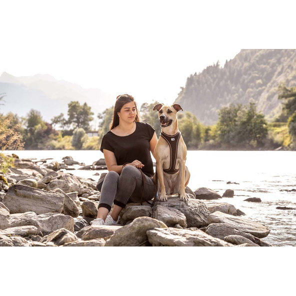 CURLI Postroj pre psov Belka Comfort Brown S, 18-25 kg