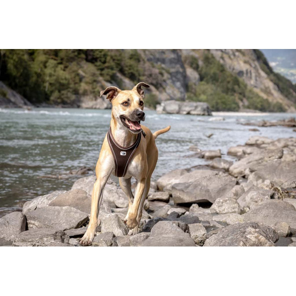 CURLI Postroj pre psov Belka Comfort Brown S, 18-25 kg