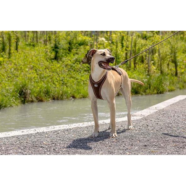 CURLI Postroj pre psov Belka Comfort Brown S, 18-25 kg