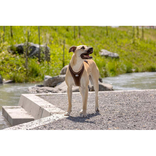 CURLI Postroj pre psov Belka Comfort Brown XS, 15-20 kg