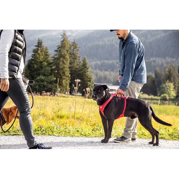 CURLI Postroj pre psov Belka Comfort Red L, 25-33 kg