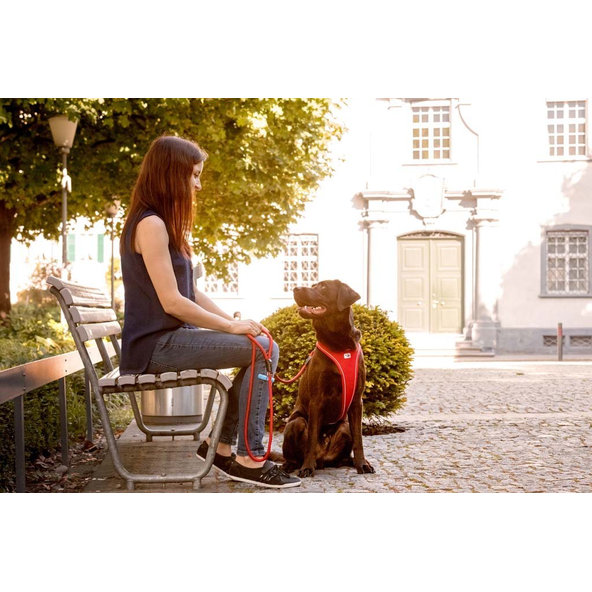 CURLI Postroj pre psov Belka Comfort Red M, 20-30 kg