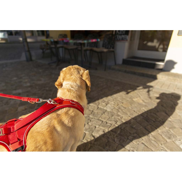 CURLI Postroj pre psov Belka Comfort Red S, 18-25 kg