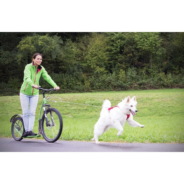 CURLI Postroj pre psov Belka Comfort Red S, 18-25 kg