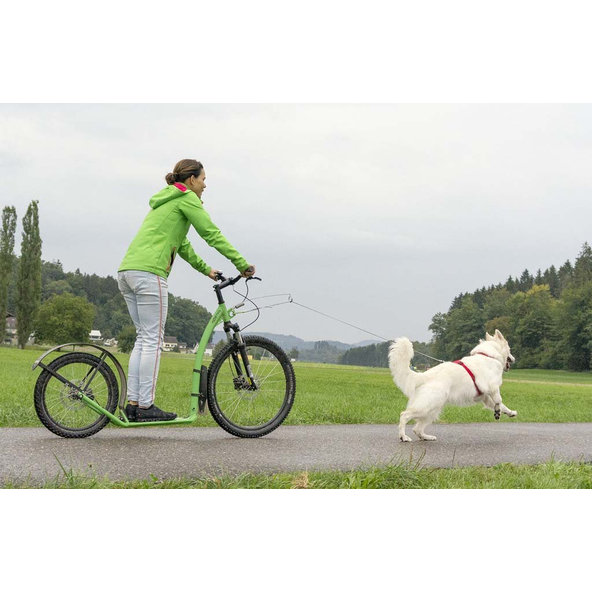 CURLI Postroj pre psov Belka Comfort Red S, 18-25 kg