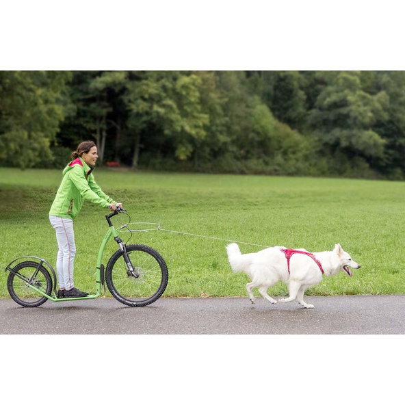 CURLI Postroj pre psov Belka Comfort Red S, 18-25 kg