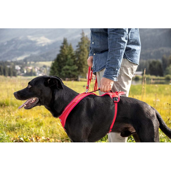 CURLI Postroj pre psov Belka Comfort Red S, 18-25 kg