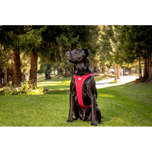 CURLI Postroj pre psov Belka Comfort Red XL, 30-45 kg