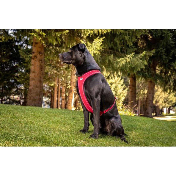 CURLI Postroj pre psov Belka Comfort Red XL, 30-45 kg