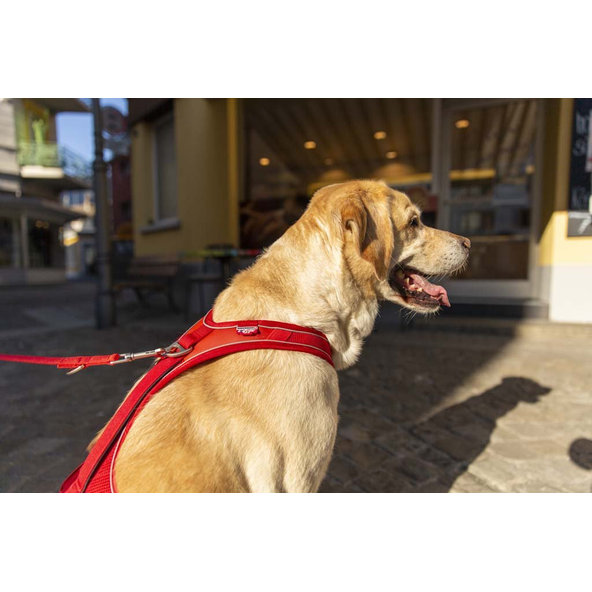 CURLI Postroj pre psov Belka Comfort Red XS, 15-20 kg