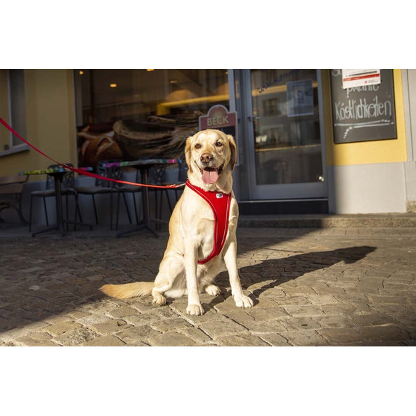 CURLI Postroj pre psov Belka Comfort Red XS, 15-20 kg