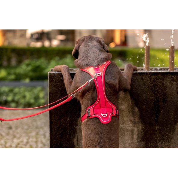 CURLI Postroj pre psov Belka Comfort Red XS, 15-20 kg