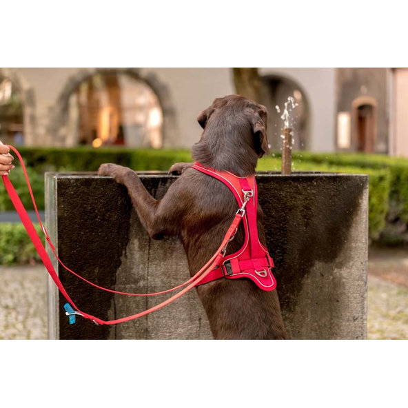 CURLI Postroj pre psov Belka Comfort Red XS, 15-20 kg