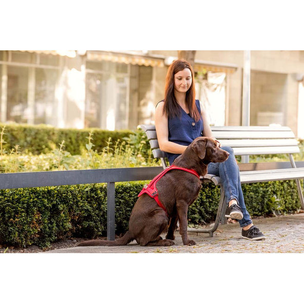 CURLI Postroj pre psov Belka Comfort Red XS, 15-20 kg