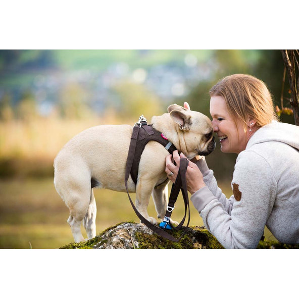 CURLI Postroj pre psov Manšester Brown 2XS, 2-4 kg