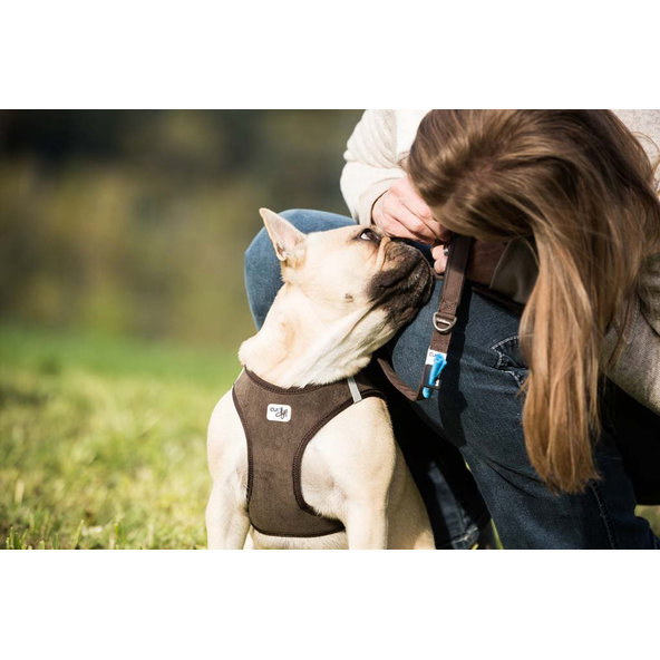 CURLI Postroj pre psov Manšester Brown 2XS, 2-4 kg