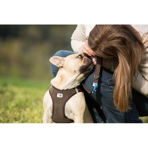 CURLI Postroj pre psov Manšester Brown L, 8-13 kg