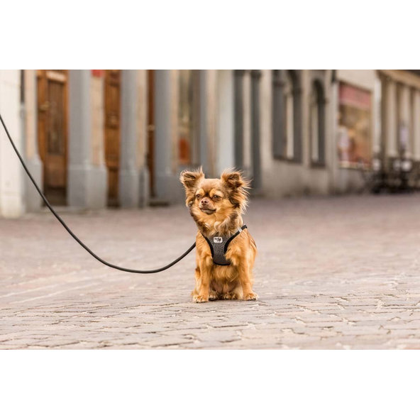 CURLI Postroj pre psov Merino vlna Black 2XS, 2-4 kg