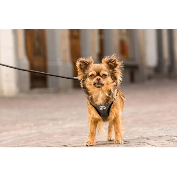 CURLI Postroj pre psov Merino vlna Black 2XS, 2-4 kg