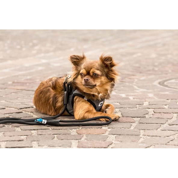 CURLI Postroj pre psov Merino vlna Black 2XS, 2-4 kg