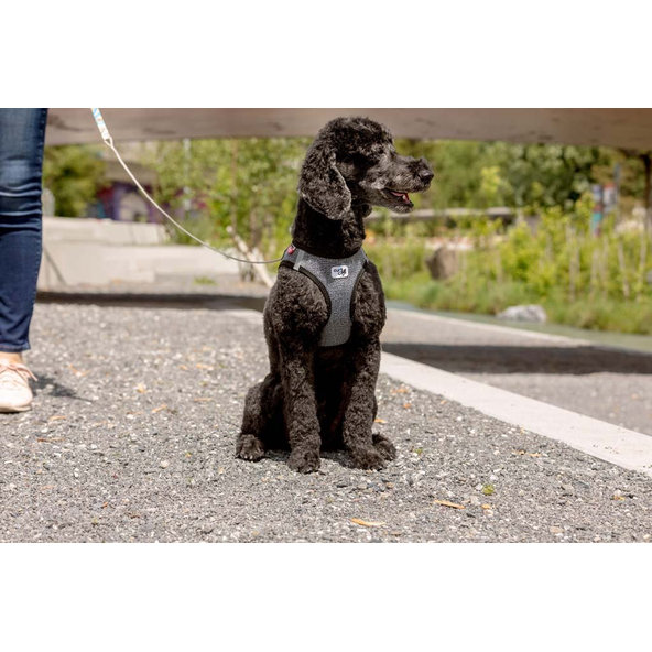 CURLI Postroj pre psov Merino vlna Black L, 8-13 kg