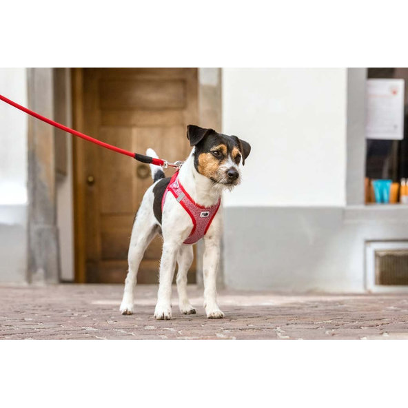 CURLI Postroj pre psov Merino vlna Black M, 6-9 kg