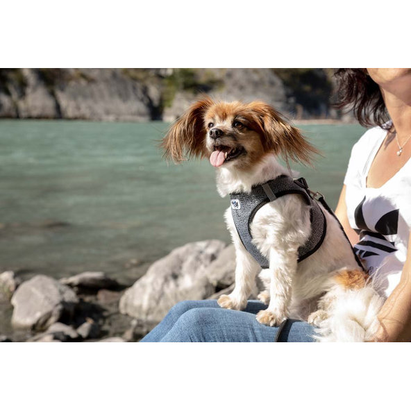 CURLI Postroj pre psov Merino vlna Black S, 4-7 kg