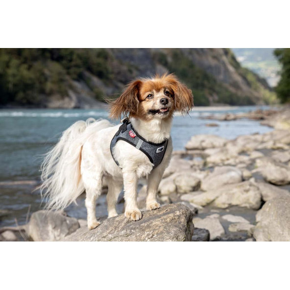 CURLI Postroj pre psov Merino vlna Black S, 4-7 kg