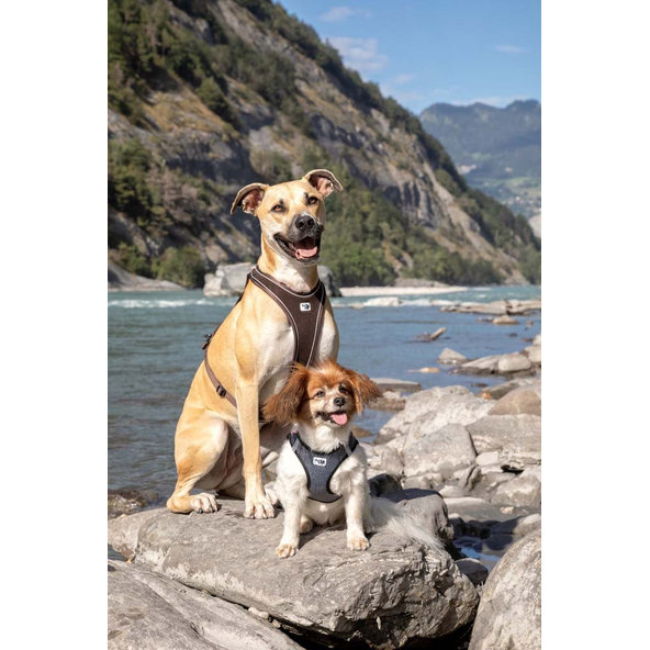 CURLI Postroj pre psov Merino vlna Black XL, 12-18 kg