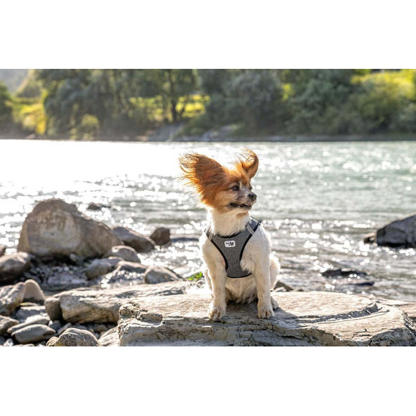 CURLI Postroj pre psov Merino vlna Black XL, 12-18 kg