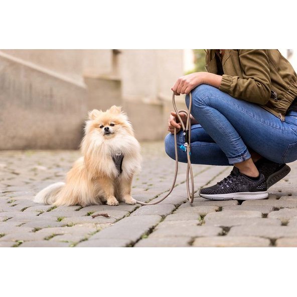 CURLI Postroj pre psov Merino vlna Black XS, 3-5 kg