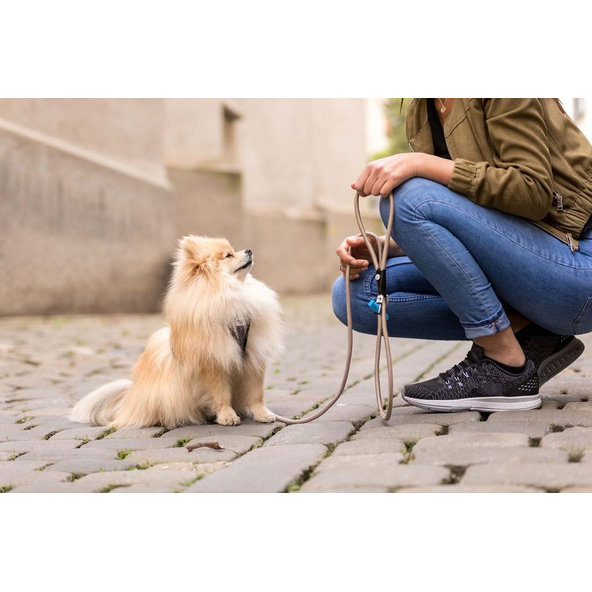 CURLI Postroj pre psov Merino vlna Black XS, 3-5 kg